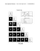 SYSTEM, METHOD AND COMPUTER-ACCESSIBLE MEDIUM FOR OBTAINING AND/OR     DETERMINING MESOSCOPIC STRUCTURE AND ORIENTATION WITH FIBER TRACKING diagram and image