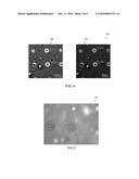 ORGANIC THIN FILM TRANSISTORS AND METHODS FOR THEIR MANUFACTURING AND USE diagram and image