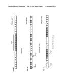 SYSTEMS AND METHODS FOR ADVANCED ITERATIVE DECODING AND CHANNEL ESTIMATION     OF CONCATENATED CODING SYSTEMS diagram and image