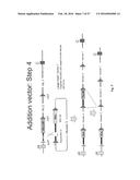 ANIMAL MODELS AND THERAPEUTIC MOLECULES diagram and image