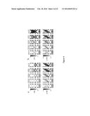 METHODS TO MONITOR CONSCIOUSNESS diagram and image