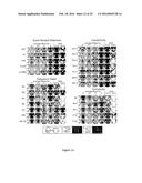 METHODS TO MONITOR CONSCIOUSNESS diagram and image