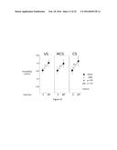 METHODS TO MONITOR CONSCIOUSNESS diagram and image