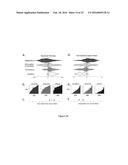 METHODS TO MONITOR CONSCIOUSNESS diagram and image