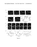 METHODS TO MONITOR CONSCIOUSNESS diagram and image