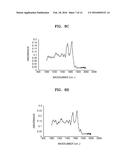 METHOD AND APPARATUS FOR NON-INVASIVE LIVER FUNCTION TESTING diagram and image