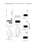 NOVEL THERAPEUTIC TARGET FOR THE TREATMENT OF CANCERS AND RELATED     THERAPIES AND METHODS diagram and image