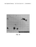 SOLID FORMS COMPRISING     3-(4-AMINO-1-OXO-1,3-DIHYDRO-ISOINDOL-2-YL)-PIPERIDINE-2,6-DIONE AND A     COFORMER, COMPOSITIONS AND METHODS OF USE THEREOF diagram and image