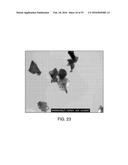 SOLID FORMS COMPRISING     3-(4-AMINO-1-OXO-1,3-DIHYDRO-ISOINDOL-2-YL)-PIPERIDINE-2,6-DIONE AND A     COFORMER, COMPOSITIONS AND METHODS OF USE THEREOF diagram and image