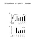 MINOXIDIL FOR SUPPRESSING ANDROGEN RECEPTOR FUNCTION diagram and image