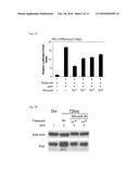 MINOXIDIL FOR SUPPRESSING ANDROGEN RECEPTOR FUNCTION diagram and image