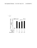 MINOXIDIL FOR SUPPRESSING ANDROGEN RECEPTOR FUNCTION diagram and image