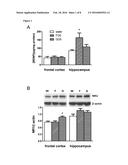 GALACTOOLIGOSACCHARIDE COMPOSITION FOR USE IN PREVENTING OR TREATING     COGNITIVE DYSFUNCTION AND EMOTIONAL DISTURBANCES IN NEUROPSYCHIATRY     ILLNESSES OR AGEING diagram and image