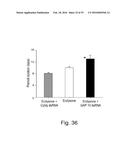 STABLE AMORPHOUS CALCIUM CARBONATE COMPRISING SYNTHETIC PHOSPHORYLATED     PEPTIDES diagram and image