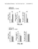 OSTEOCALCIN AS A TREATMENT FOR COGNITIVE DISORDERS diagram and image