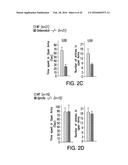 OSTEOCALCIN AS A TREATMENT FOR COGNITIVE DISORDERS diagram and image