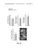 OSTEOCALCIN AS A TREATMENT FOR COGNITIVE DISORDERS diagram and image