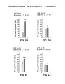 OSTEOCALCIN AS A TREATMENT FOR COGNITIVE DISORDERS diagram and image