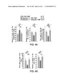 OSTEOCALCIN AS A TREATMENT FOR COGNITIVE DISORDERS diagram and image