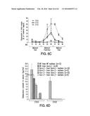 OSTEOCALCIN AS A TREATMENT FOR COGNITIVE DISORDERS diagram and image