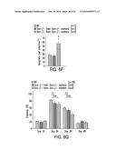 OSTEOCALCIN AS A TREATMENT FOR COGNITIVE DISORDERS diagram and image