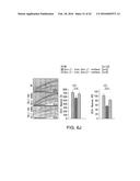 OSTEOCALCIN AS A TREATMENT FOR COGNITIVE DISORDERS diagram and image