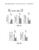 OSTEOCALCIN AS A TREATMENT FOR COGNITIVE DISORDERS diagram and image