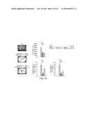 OSTEOCALCIN AS A TREATMENT FOR COGNITIVE DISORDERS diagram and image