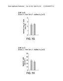 OSTEOCALCIN AS A TREATMENT FOR COGNITIVE DISORDERS diagram and image