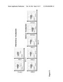 IDENTIFICATION OF CD8+ T CELLS THAT ARE CD161HI AND/OR IL18R(ALPHA)HI AND     HAVE RAPID DRUG EFFLUX CAPACITY diagram and image