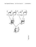 IDENTIFICATION OF CD8+ T CELLS THAT ARE CD161HI AND/OR IL18R(ALPHA)HI AND     HAVE RAPID DRUG EFFLUX CAPACITY diagram and image