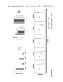 IDENTIFICATION OF CD8+ T CELLS THAT ARE CD161HI AND/OR IL18R(ALPHA)HI AND     HAVE RAPID DRUG EFFLUX CAPACITY diagram and image