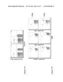 IDENTIFICATION OF CD8+ T CELLS THAT ARE CD161HI AND/OR IL18R(ALPHA)HI AND     HAVE RAPID DRUG EFFLUX CAPACITY diagram and image