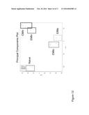 IDENTIFICATION OF CD8+ T CELLS THAT ARE CD161HI AND/OR IL18R(ALPHA)HI AND     HAVE RAPID DRUG EFFLUX CAPACITY diagram and image