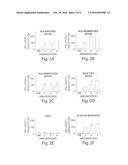 Tumor Vaccine diagram and image