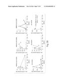 Tumor Vaccine diagram and image