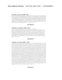 CHLAMYDIA ANTIGEN COMPOSITIONS AND USES THEREOF diagram and image