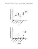 CHLAMYDIA ANTIGEN COMPOSITIONS AND USES THEREOF diagram and image