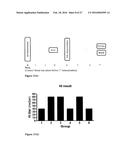 Nanoparticles, Composed of Sterol and Saponin From Quillaja Saponaria     Molina Process for Preparation and Use Thereof as Carrier for Amphipatic     of Hydrophobic Molecules in Fields of Medicine Including Cancer Treatment     and Food Related Compounds diagram and image