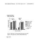 Nanoparticles, Composed of Sterol and Saponin From Quillaja Saponaria     Molina Process for Preparation and Use Thereof as Carrier for Amphipatic     of Hydrophobic Molecules in Fields of Medicine Including Cancer Treatment     and Food Related Compounds diagram and image