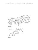 Nanoparticles, Composed of Sterol and Saponin From Quillaja Saponaria     Molina Process for Preparation and Use Thereof as Carrier for Amphipatic     of Hydrophobic Molecules in Fields of Medicine Including Cancer Treatment     and Food Related Compounds diagram and image