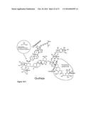 Nanoparticles, Composed of Sterol and Saponin From Quillaja Saponaria     Molina Process for Preparation and Use Thereof as Carrier for Amphipatic     of Hydrophobic Molecules in Fields of Medicine Including Cancer Treatment     and Food Related Compounds diagram and image