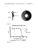 Nanoparticles, Composed of Sterol and Saponin From Quillaja Saponaria     Molina Process for Preparation and Use Thereof as Carrier for Amphipatic     of Hydrophobic Molecules in Fields of Medicine Including Cancer Treatment     and Food Related Compounds diagram and image