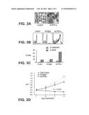 Methods And Compositions For Treatment Of Interferon-Resistant Tumors diagram and image