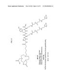 Methods and Compositions for Improved Labeling of Targeting Peptides diagram and image