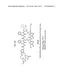 Methods and Compositions for Improved Labeling of Targeting Peptides diagram and image