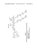 Methods and Compositions for Improved Labeling of Targeting Peptides diagram and image