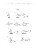 Methods and Compositions for Improved Labeling of Targeting Peptides diagram and image