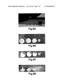 Thermosensitive and Crosslinkable Polymer Composite for Three-Dimensional     Soft Tissue Scaffold Printing diagram and image