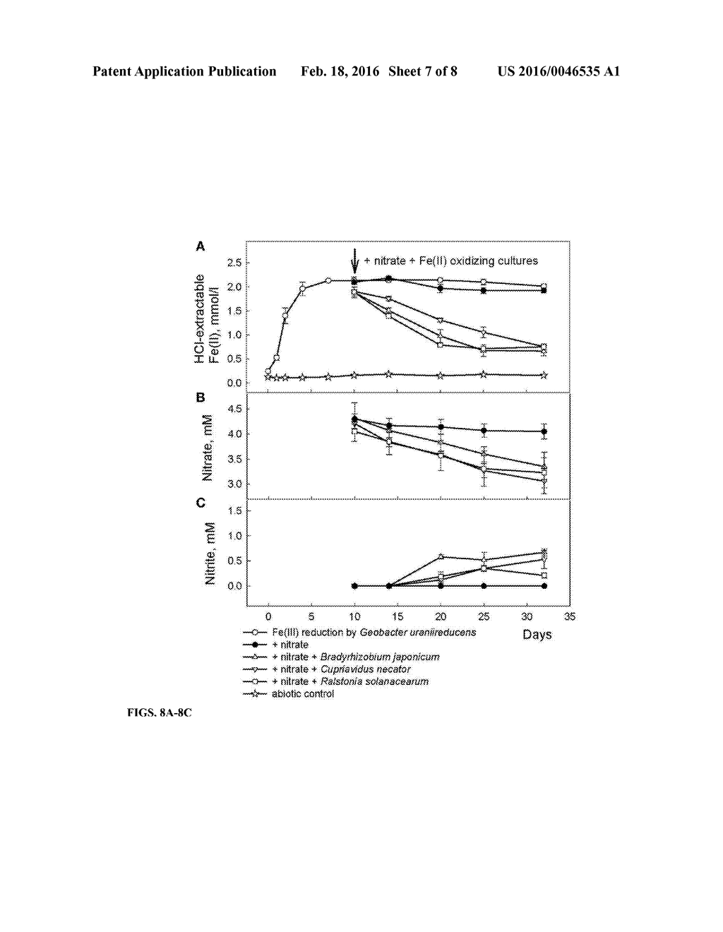 USING PHYLLOSILICATE-FE(II)-OXIDIZING SOIL BACTERIA TO IMPROVE FE AND K     PLANT NUTRITION - diagram, schematic, and image 08